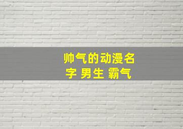 帅气的动漫名字 男生 霸气